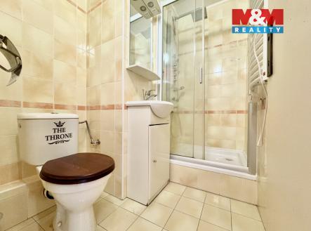 Prodej bytu, 1+kk, 22 m²