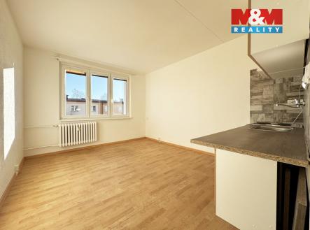 Pronájem bytu, 1+kk, 20 m²