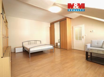 Pronájem bytu, 1+1, 46 m²