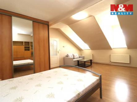 Pronájem bytu, 1+1, 46 m²