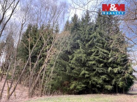 Prodej pozemku, les, 4 244 m²