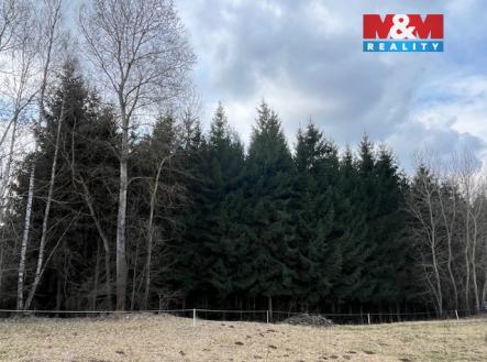 Prodej pozemku, les, 4 244 m²