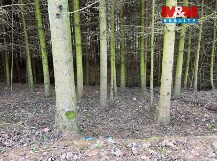 Prodej pozemku, les, 4 244 m²