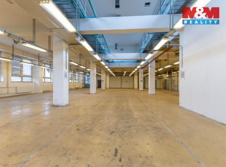 Pronájem skladovací prostor, 724 m²