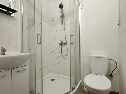 Pronájem bytu, 1+1, 30 m²