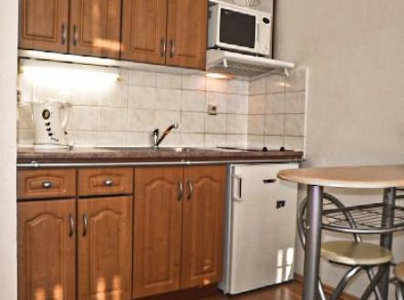 Pronájem bytu, 1+kk, 28 m²