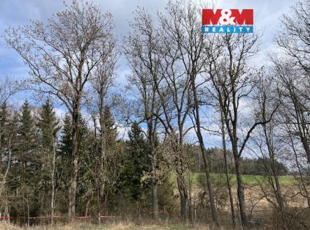 Prodej pozemku, les, 11 072 m²