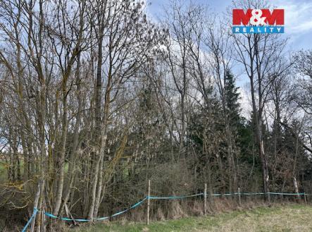 Prodej pozemku, les, 11 072 m²