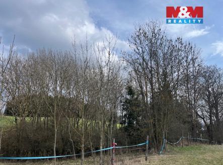 Prodej pozemku, les, 11 072 m²