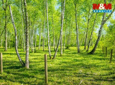 Prodej pozemku pro bydlení, 3 825 m²