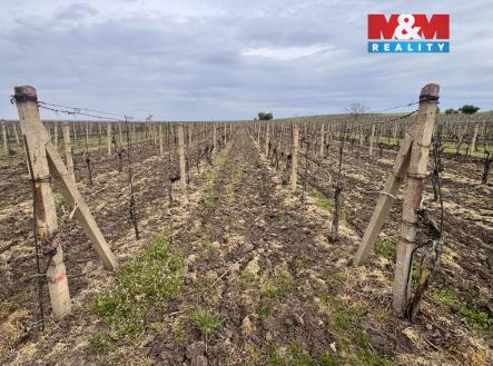 Prodej pozemku, zemědělská půda, 3 600 m²