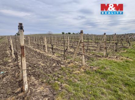 Prodej pozemku, zemědělská půda, 3 600 m²