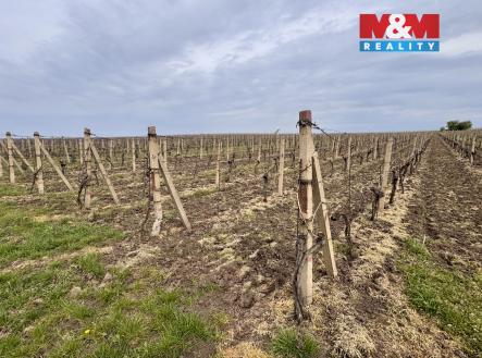 Prodej pozemku, zemědělská půda, 3 600 m²