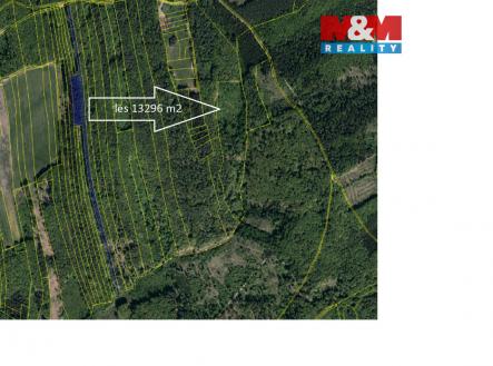 Prodej pozemku, les, 13 296 m²