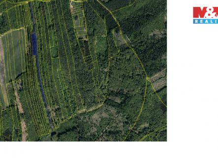 Prodej pozemku, les, 13 296 m²