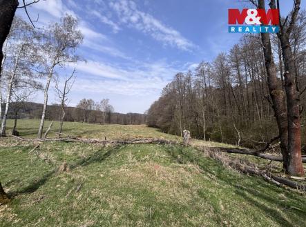 Prodej pozemku, trvalý travní porost, 545 m²