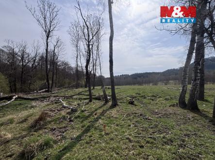 Prodej pozemku, trvalý travní porost, 545 m²