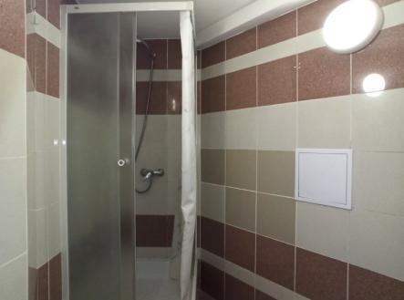 Pronájem bytu, 1+1, 54 m²