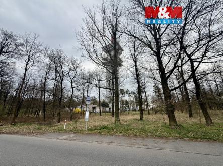 Prodej pozemku, les, 3 807 m²