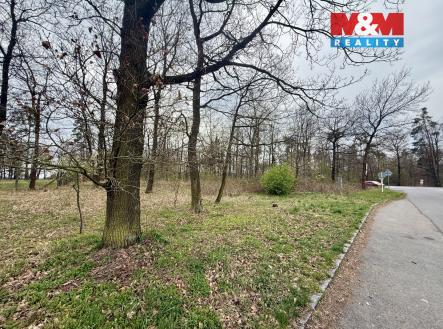 Prodej pozemku, les, 3 807 m²