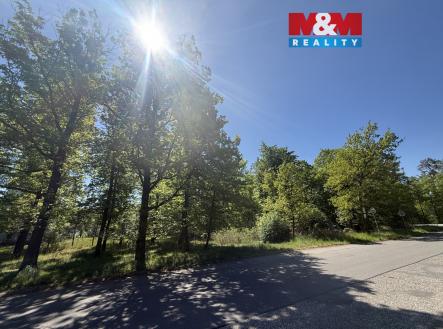 Prodej pozemku, les, 3 807 m²