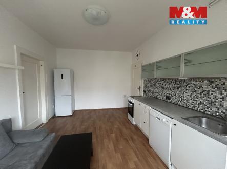 Pronájem bytu, 1+1, 46 m²