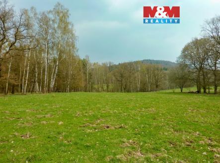 Prodej pozemku, trvalý travní porost, 55 278 m²