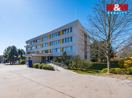 Pronájem obchodní prostory, 43 m²
