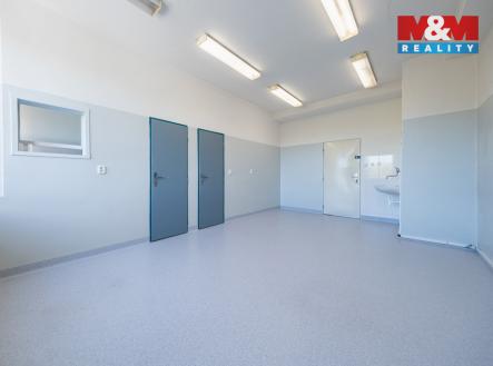 Pronájem obchodní prostor, 193 m²