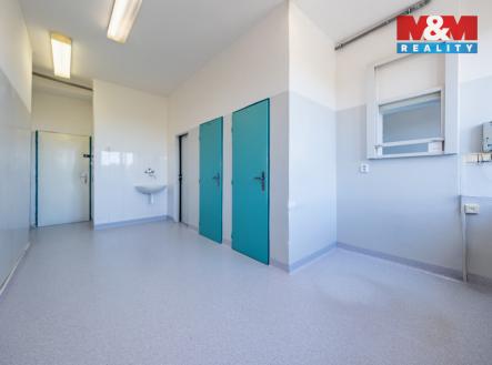 Pronájem obchodní prostor, 193 m²