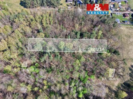 Prodej pozemku, les, 1 964 m²