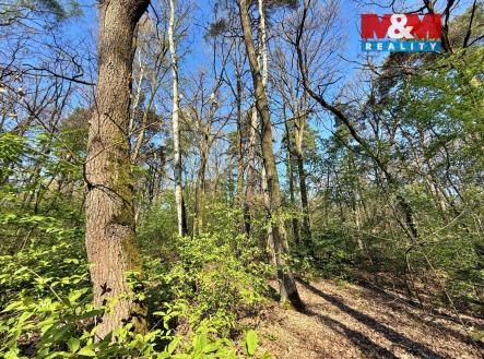 Prodej pozemku, les, 1 964 m²