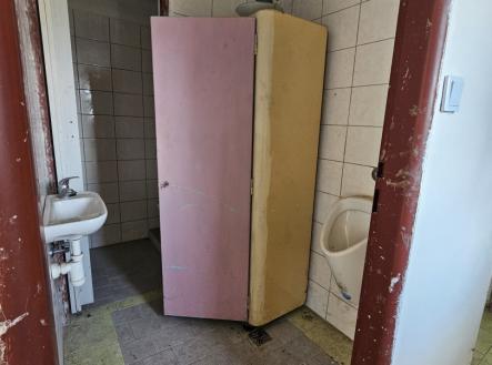 Pronájem domu/vily, 68 m²