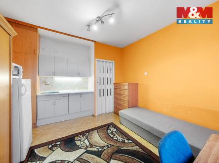 Prodej bytu, 1+kk, 19 m²