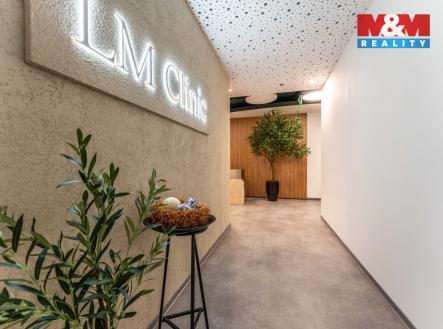 Pronájem obchodní prostor, 30 m²