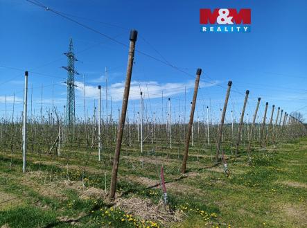 Prodej pozemku, zemědělská půda, 8 946 m²