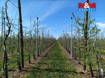 Prodej pozemku, zemědělská půda, 8 946 m²