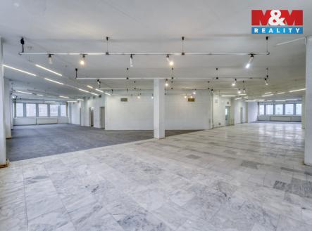 Pronájem obchodní prostor, 458 m²