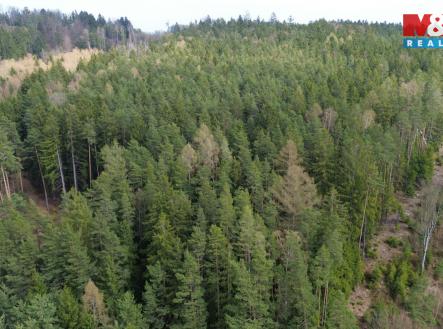 Prodej pozemku, les, 7 873 m²
