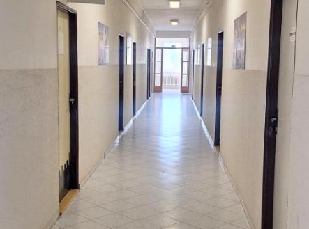 Pronájem kanceláře, 19 m²