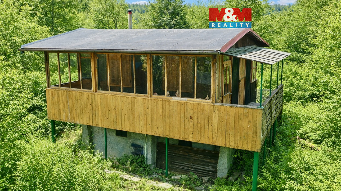 ChatGPT Image 23. 2. 2026 20_07_49.jpeg