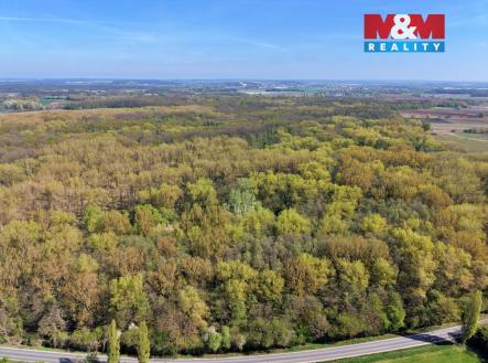 Prodej pozemku, les, 70 048 m²