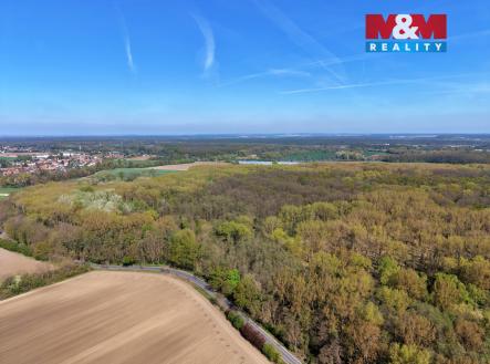 Prodej pozemku, les, 70 048 m²