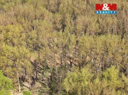 Prodej pozemku, les, 70 048 m²