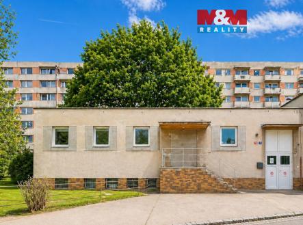 Prodej obchodní prostor, 195 m²