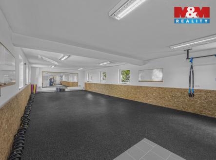 Prodej obchodní prostor, 195 m²