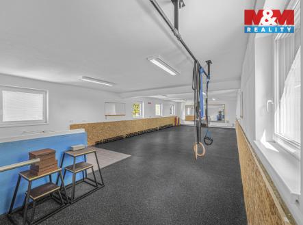 Prodej obchodní prostor, 195 m²