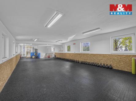 Prodej obchodní prostor, 195 m²