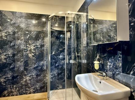 Pronájem bytu, 1+1, 55 m²