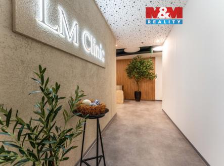 Pronájem obchodní prostor, 30 m²